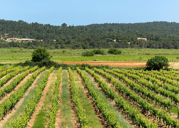Domaine De Parazols